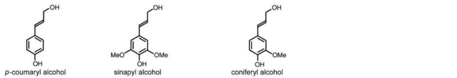 Lignine